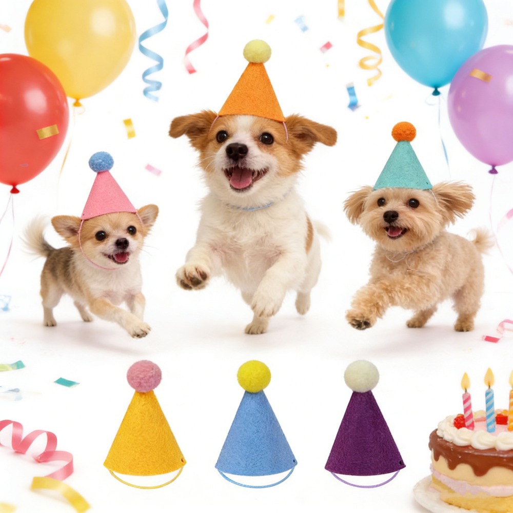 3/6pcs Pet Party Hat Colorful  - Party Hat Cone ulasan dan harga